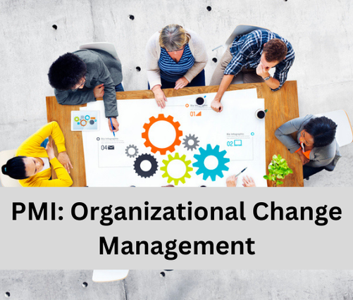PMI:  Organizational Change Management